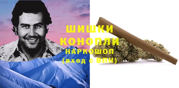 бошки Медногорск