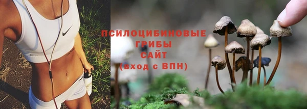 MESCALINE Медвежьегорск