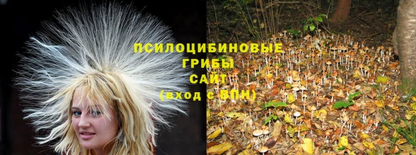 индика Михайлов