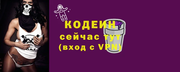 2c-b Мегион