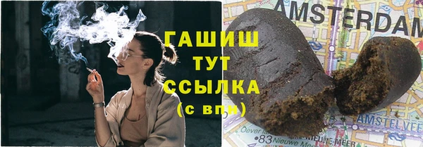 индика Михайлов
