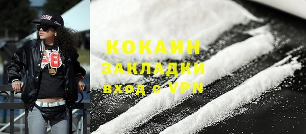 индика Михайлов