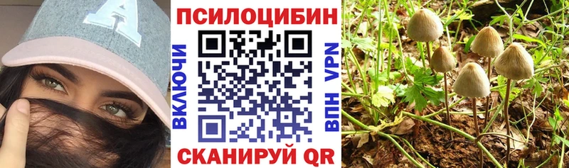 кракен ТОР  Галич  Псилоцибиновые грибы мицелий 