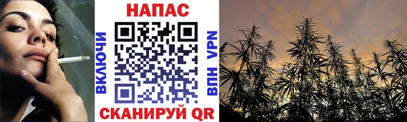 кракен ссылки  Галич  Бошки Шишки планчик  закладка 